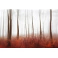 thumbnail image 2 of Davidsson, Gustav 18x13 Gold Ornate Wood Framed with Double Matting Museum Art Print Titled - Endless Woods, 2 of 4