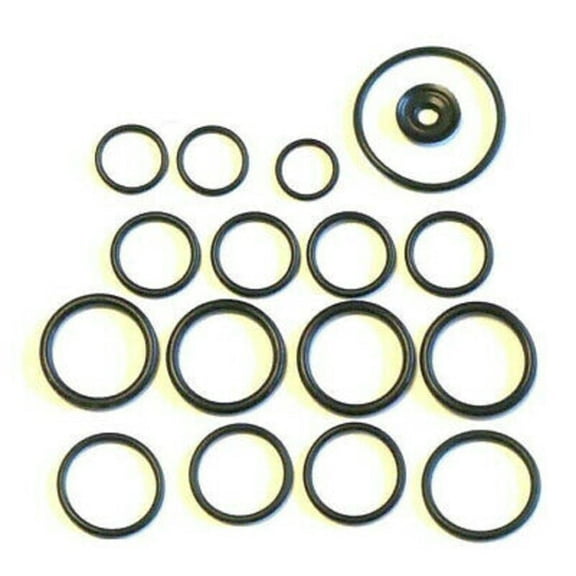 9910-KIT1916 Hypro O-Ring Repair Kit for D30 Diaphragm Pump