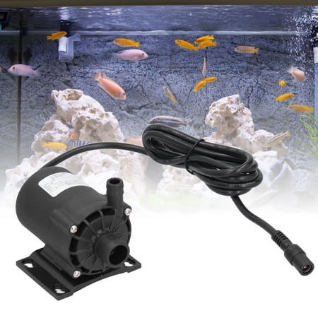 Pompe Aquarium Qui Fait Du Bruit