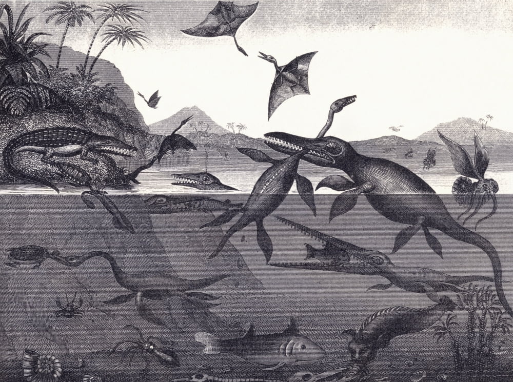 Prehistoric Animals Of The Lias Group A Group In The Stratigraphy Of Great Britain Formed During The Late Triassic To Early Jurassic Epochs And Including The Blue Lias And White Lias Its Facies (The L