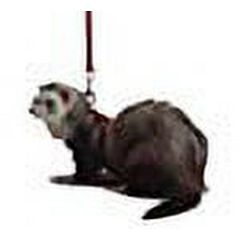Marshall ferret harness hotsell