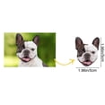 thumbnail image 3 of Savings Clearance for Home Decor!Tengw Photo Custom Stickers, 3 of 7