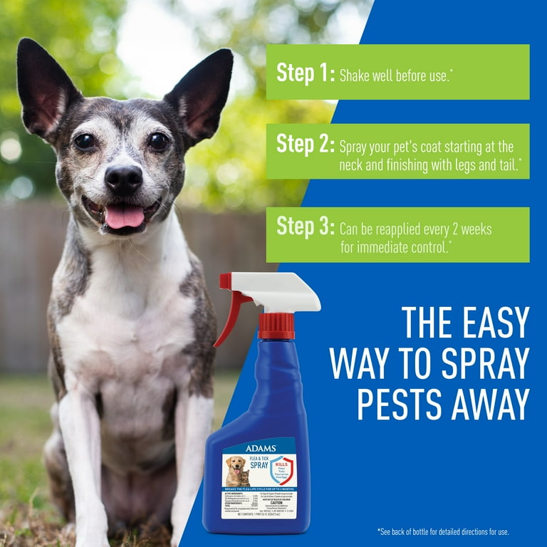 Flea spray best sale for cats walmart