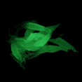 thumbnail image 4 of Shrimp Fishing Lures,20pcs Soft Shrimp Lure Baits Soft Lure Worms Glow Simulation Prawn Shrimps Fishing Tackle Lures baits for Bass Walleye Trout, 4 of 6