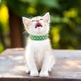 thumbnail image 6 of Spiked Dog Cat Collar Male Black Soft Leather Spike Puppy Collars Adjustable Mushroom Anti Bite Studded Dog Collars for Small Medium Large Dogs Chihuahua Yorkshire Pit Bull, 6 of 8