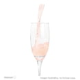 thumbnail image 4 of Vino Rosado Trivento rosé malbec 750 ml, 4 of 4