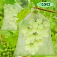 thumbnail image 1 of YIDOMDE Bolsa protectora para racimos de uvas, 120 piezas, 3 tamaños, bolsa protectora para frutas, bolsa de organza con cordón para mantener alejadas a las avispas y otros insectos Sincero Electrónica, 1 of 2