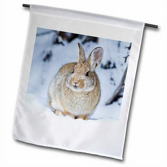 3dRose, Wyoming, Nuttalls Cottontail Rabbit in snow., 12 x 18 inch Garden Flag