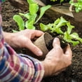 thumbnail image 4 of De Turba Para Jardín De 6Cm, Tazas Para Principiantes De Plantas De Semillero, Protección Del Medio Ambiente, Bandeja Para Semillas De Hierbas Para Vivero, Herramientas Para Plantar Eigraketly HA041254-02, 4 of 6