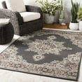 thumbnail image 2 of Hauteloom Roseglen Living Room, Bedroom Patio Outdoor Area Rug - Traditional - Black, Sage, Dark Red - 7'3" x 10'6", 2 of 9