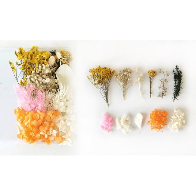 Valentine's Day Flowers,Dried Flowers Material Kit Diy Everlasting Flowers Material Making Valentines Day Gift,Book Making Kit