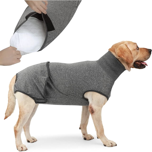 Body para perro, traje de recuperación postoperatorio para perros, mujer y hombre con pañales quirúrgicos, alternativa postoperatoria E-Cone para perros