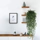 thumbnail image 5 of Simulated Rattan Wall Mounted Wedding/banquet/home Balcony/corridor Hanging Decoration Scene Layout, 5 of 6