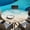 Brown Turquoise, variant on Round Table Cover 45-54 Inch Teal Ombre Coastal Waterproof Reusable Table Cloth Round Fitted Vinyl Tablecloth with Elastic Edged for Parties Outdoors, Sea Nautical Summer Beach Starfish Coral