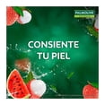 thumbnail image 3 of Jabon de Baño Palmolive Naturals Sensación Humectante Sandía y Lychee 4 x 120 g, 3 of 4