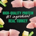 thumbnail image 5 of Cesar Home Delights Adult Wet Dog Food, Turkey, Green Beans & Potatoes Flavor in Sauce, 24 Count, 5 of 14