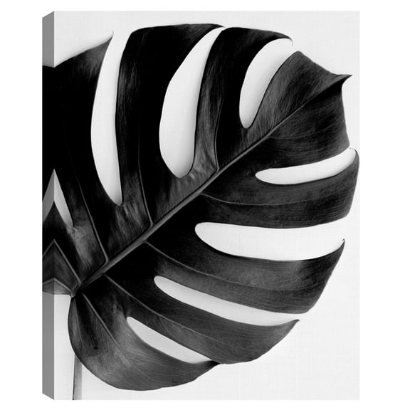 Monstera Solo Noir by Irene Suchocki Canvas Art Print