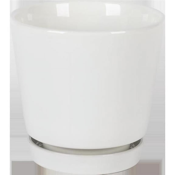 Border Concepts 8 in. D Ceramic Flair Saucer Planter White