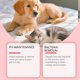 thumbnail image 4 of Cat and dog care drops: gentle care for cats and dogs, providing comfort and vitality as a dietary supplement., 4 of 4