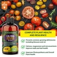 thumbnail image 3 of ⭐ 𝐁𝐄𝐒𝐓𝐒𝐄𝐋𝐋𝐄𝐑 Organic Cal-MAG Growing Fertilizer Concentrate: Calcium, Magnesium, Iron & Micronutrients Supplement for Plant Deficiencies (9-0-0 NPK) - [8 OZ], 3 of 4