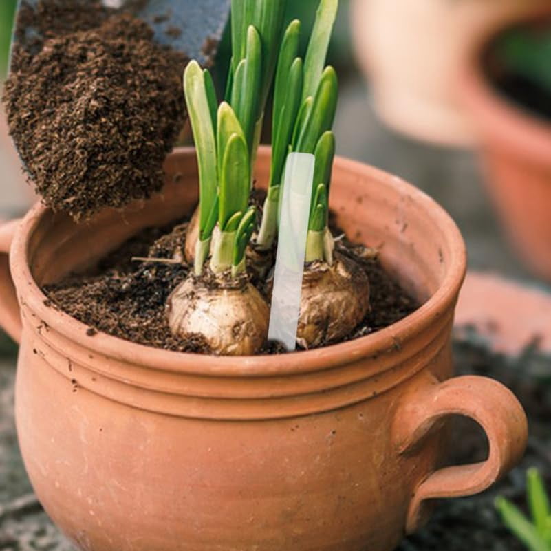 Clear Acrylic Plant Labels Waterproof Garden Markers for Vegetables Succulents Flower Pots and Beds 72 Pcs