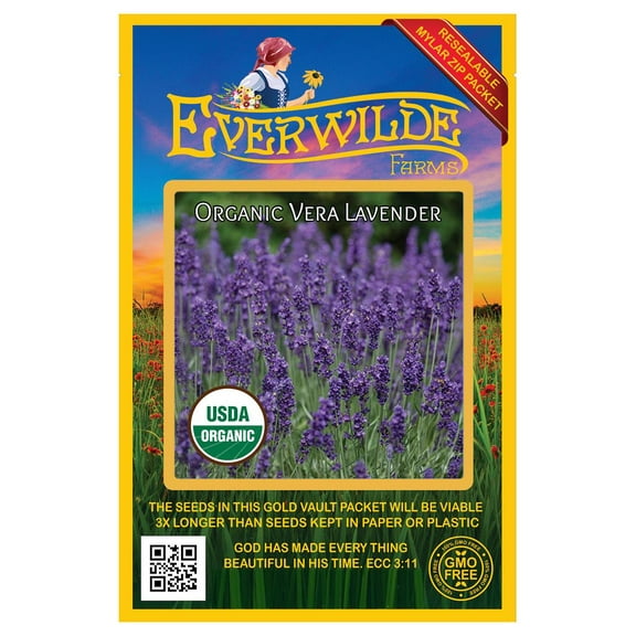 Everwilde Farms - 500 Organic Vera Lavender Herb Seeds - Gold Vault Jumbo Bulk Seed Packet