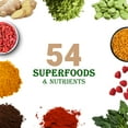 thumbnail image 6 of Vegan Protein Powder Vanilla Cookie - Meal Replacement Shake, Lactose & Dairy Free Plant Based Protein Shake with Fava, Mung, Rice & Pea Protein, Low Carb, Keto, Sugar & Gluten Free, 15 Servings, 6 of 8