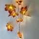 thumbnail image 4 of Bewildely Cadena de luz de hoja de arce de Halloween Guirnalda de calabaza iluminada LED para la decoración de Halloween del hogar Kits de decoración para fiestas Numero 5 Bewildely HA044238-05, 4 of 6