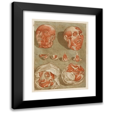 Arnauld Gautier d Agoty 15x18 Black Modern Framed Museum Art Print Titled - Four Dissected Heads with Details of Eyes