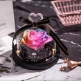 thumbnail image 1 of Fiudx Artículos en oferta con ofertas flash Flores secas para el día de San Valentín y Navidad para la decoración del hogar, regalos de boda, flores secas, rosa eterna real, decoración del hogar con, 1 of 2