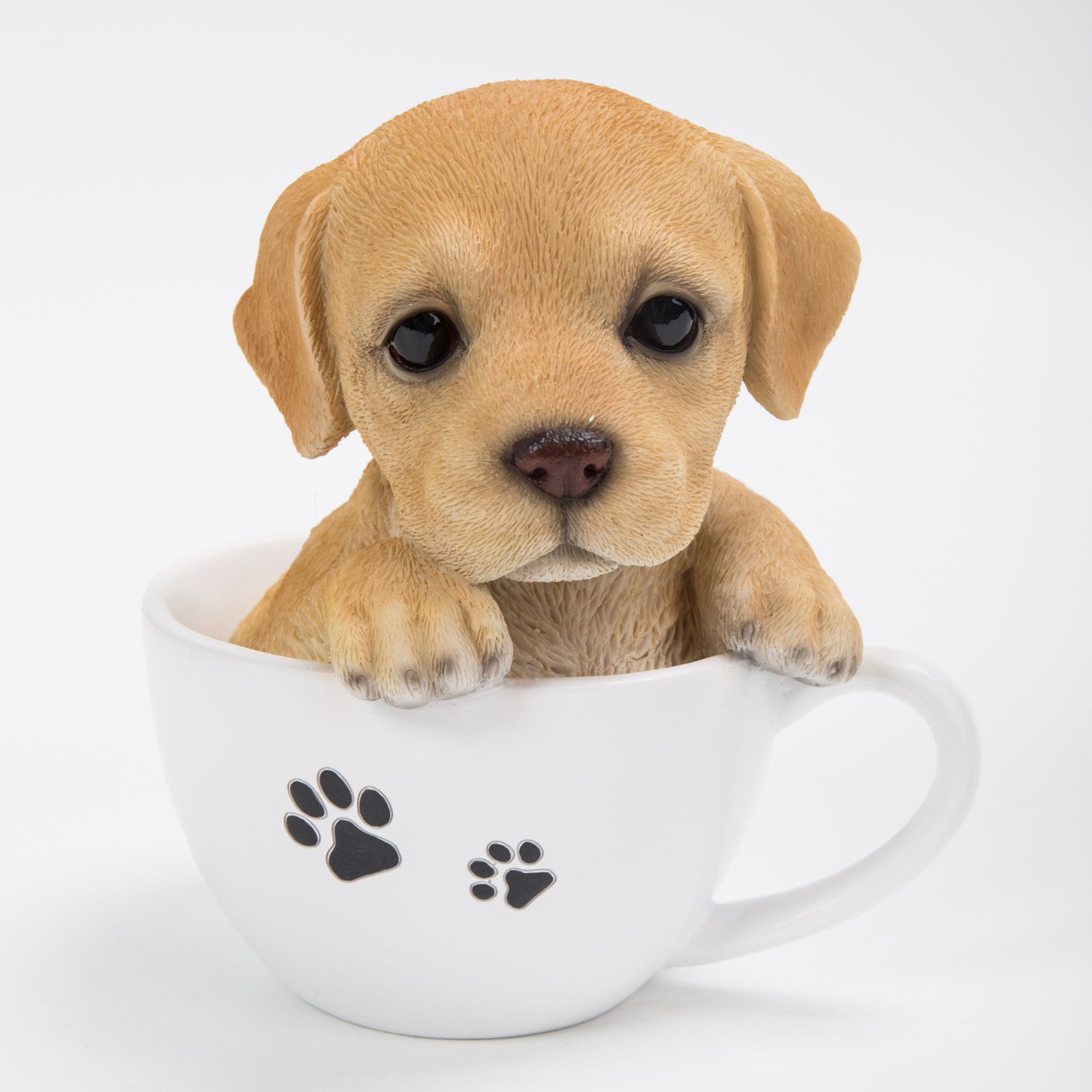 teacup labrador retriever