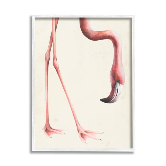 Stupell Industries Pink Flamingo Bending Feet Beak Detail, 24 x 30,Design by Grace Popp