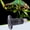 200W Black, variant on BOKYAN E27 Reptile Animal Ceramic Heating Lamp 100W Infrared Pet Heat Light No-Light Heater Emitter Bulb for Turtle Lizard Snake Terrarium Heater Habitat, 220V-240V, 100 Watts