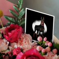 thumbnail image 3 of 3drose, Illustration of a Beautiful Doberman Dog with a White Circle, 12 Greeting Cards with Envelopes, 3 of 7
