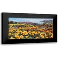 thumbnail image 1 of Moore, Robert 24x14 Black Modern Framed Museum Art Print Titled - Pacific Breeze, 1 of 5