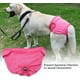 thumbnail image 3 of Rosa - Pañal para perro, 1 pieza, talla 42-60cm, pañal higiénico suave y cómodo, pañal para cachorro, 3 of 5