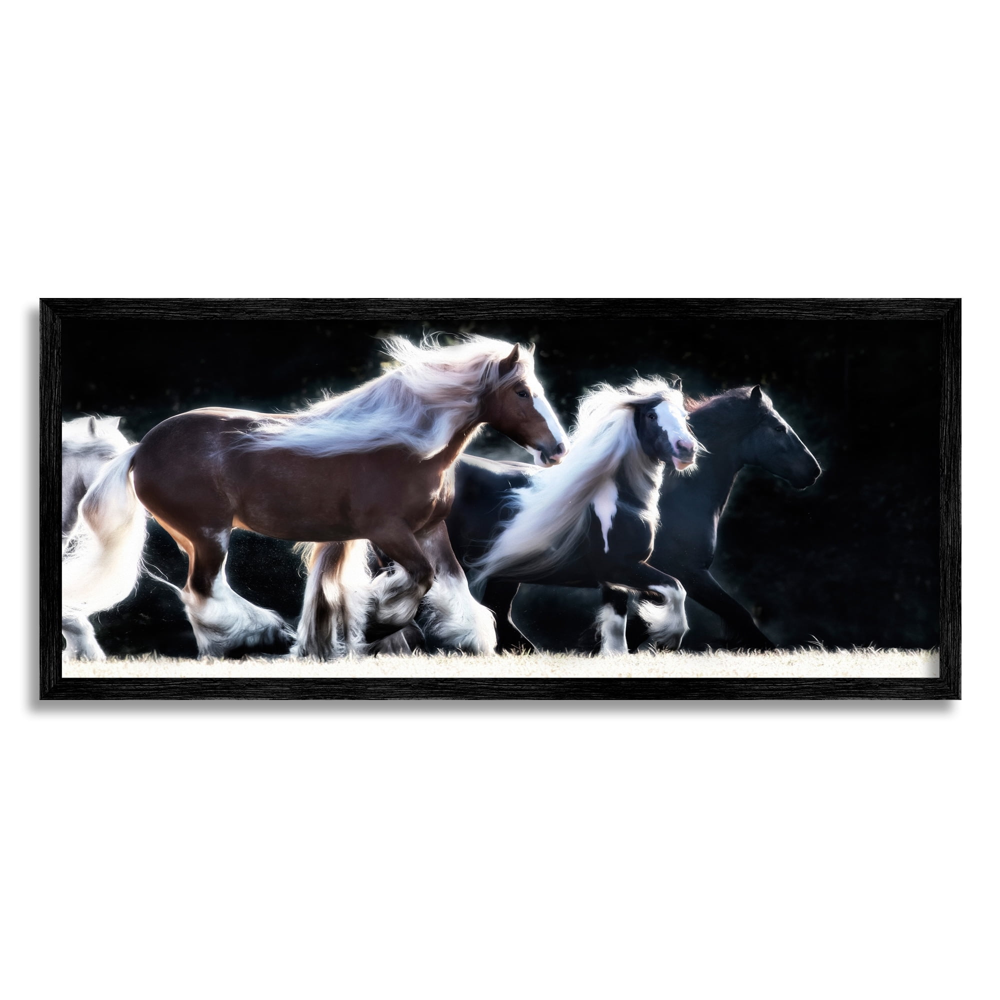 Stupell Industries Colt Horse Stampede Country Field Modern Equestrian Photography, 24 x 10,Design by PHBurchett