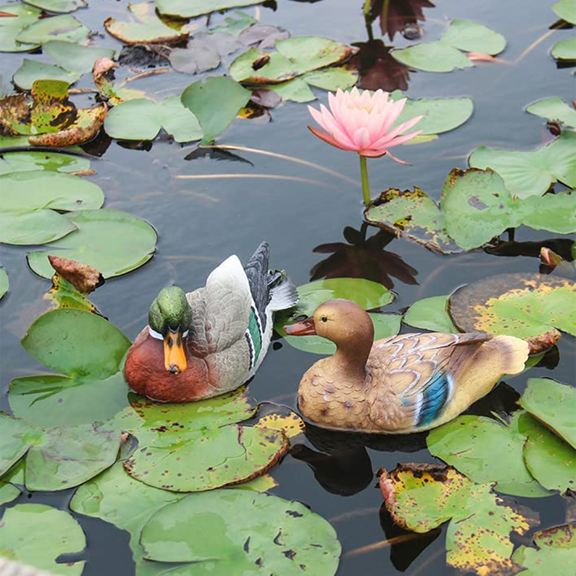 Buy RSRZRCJ 8'' Floating Mandarin Duck Decoy, Duck Sculpture Craft