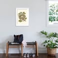 thumbnail image 3 of Art.com Kingbird Nest and Eggs Art Print, White Frame Wall Art, 21" x 29", 3 of 5