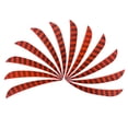 thumbnail image 2 of 12Pcs Feathers Stack Right Wing - Orange, 2 of 7