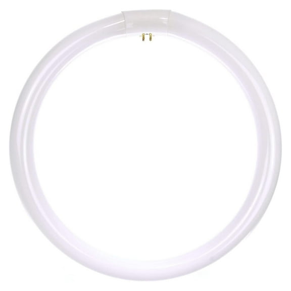 05030 FC12T9/CW T9 Round Fluorescent Circline Lamp, 32 Watts, 2100 Lumens, 4100K Cool White, RoHS Compliant, G10Q 4-Pin Base, 1 Pack