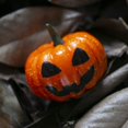thumbnail image 4 of 12 Pieces Mini Artificial Pumpkins,Lifelike Simulation Mini Pumpkins Fall Mini Artificial Pumpkins,Halloween Thanksgiving Autumn Theme Party Decorations Mini Pumpkins (Orange), 4 of 4