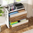 thumbnail image 3 of Tribesigns 2-Drawer File Cabinet, Lateral Modern Filing Cabinet for A4/Letter,  Printer Stand with Storage Drawer for Home Office, 3 of 5