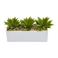 thumbnail image 2 of Nearly Natural Home Decor Agave Succulent in Rectangular Planter, 2 of 3