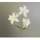 thumbnail image 1 of Xiao Hua 6 flores artificiales de lirio de 3 cabezas, flores falsas, flores artificiales para decoración de bodas, 1 of 5