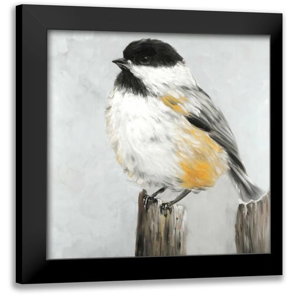 Atelier B Art Studio 12x12 Black Modern Framed Museum Art Print Titled - Coal Tit Bird