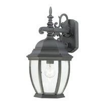 Atlas Lighting and Home 1-Light Lantern Style Seeded Glass Outdoor Wall Sconce - 18" - Black
