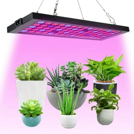 Lampes de culture LED pour plantes d'intérieur Panneau à spectre complet  100 W Lampe de
