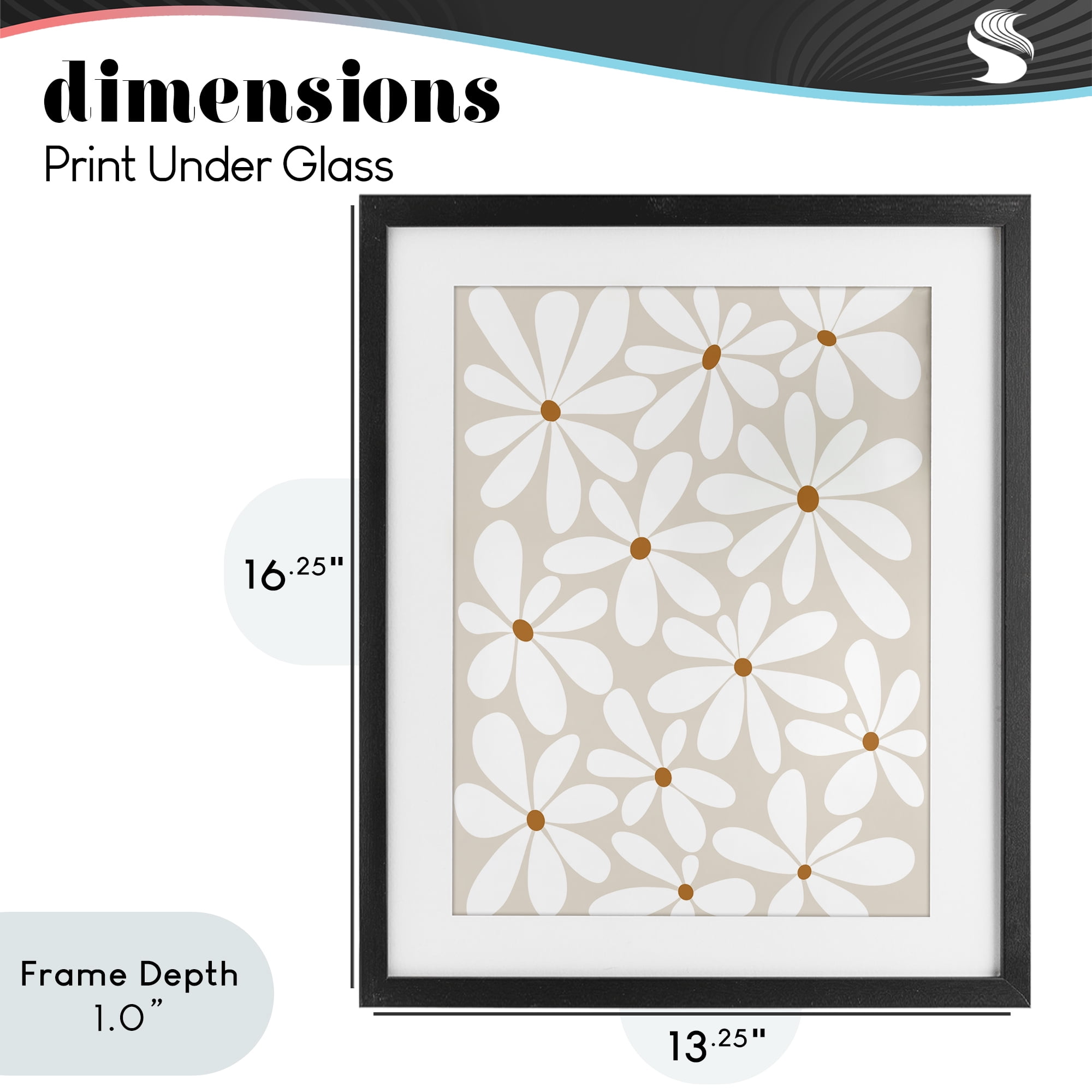 Stupell Industries Beige & White Daisies Black Framed Print Under Glass, design by Susan Ball