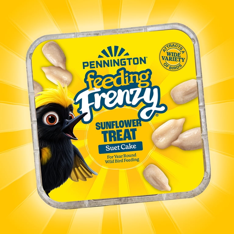Pennington Feeding Frenzy Sunflower Suet Treat Cake 11 oz, Wild